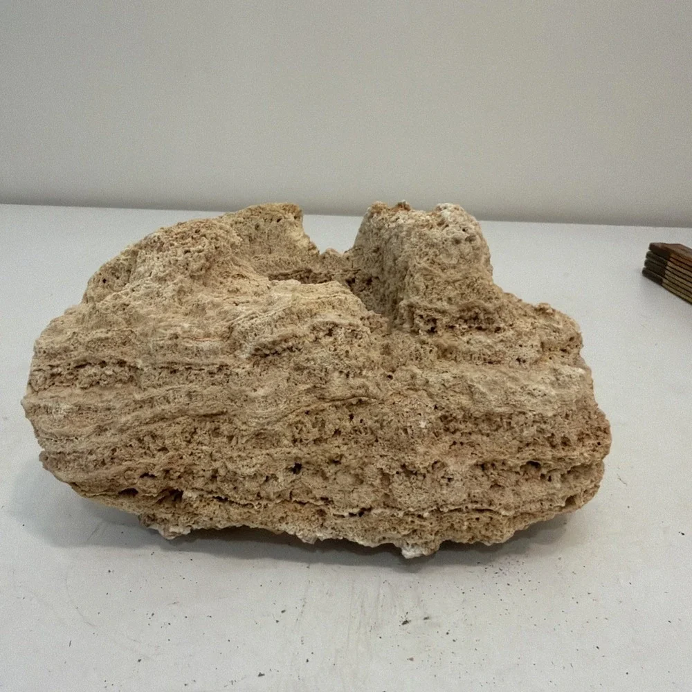 CORAL 8